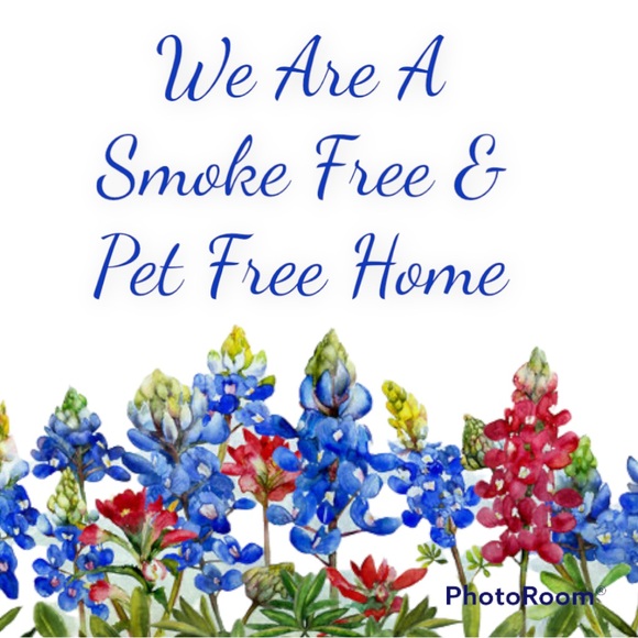 Resin Red Bird - Picture 9 of 9